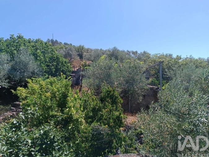 Terreno para Venda em Poiares Foto 26