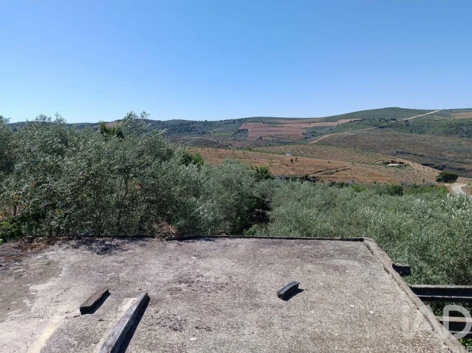 Terreno para Venda em Poiares Foto 21