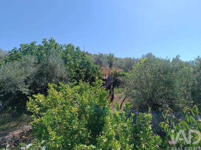 Terreno para Venda em Poiares Foto 6