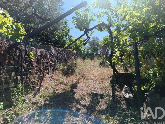 Terreno para Venda em Poiares Foto 2