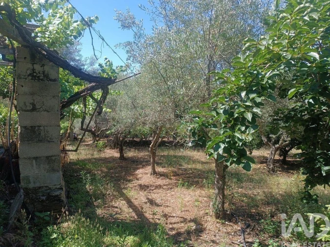 Terreno para Venda em Poiares Foto 19