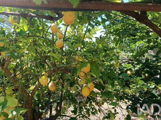 Terreno para Venda em Poiares Foto 8