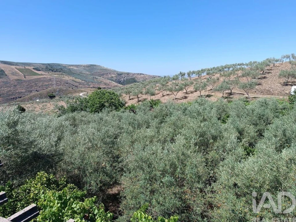 Terreno para Venda em Poiares Foto 28