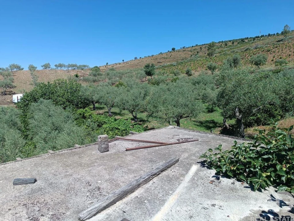 Terreno para Venda em Poiares Foto 22