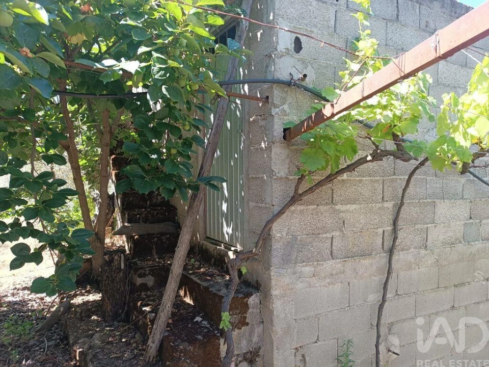 Terreno para Venda em Poiares Foto 12