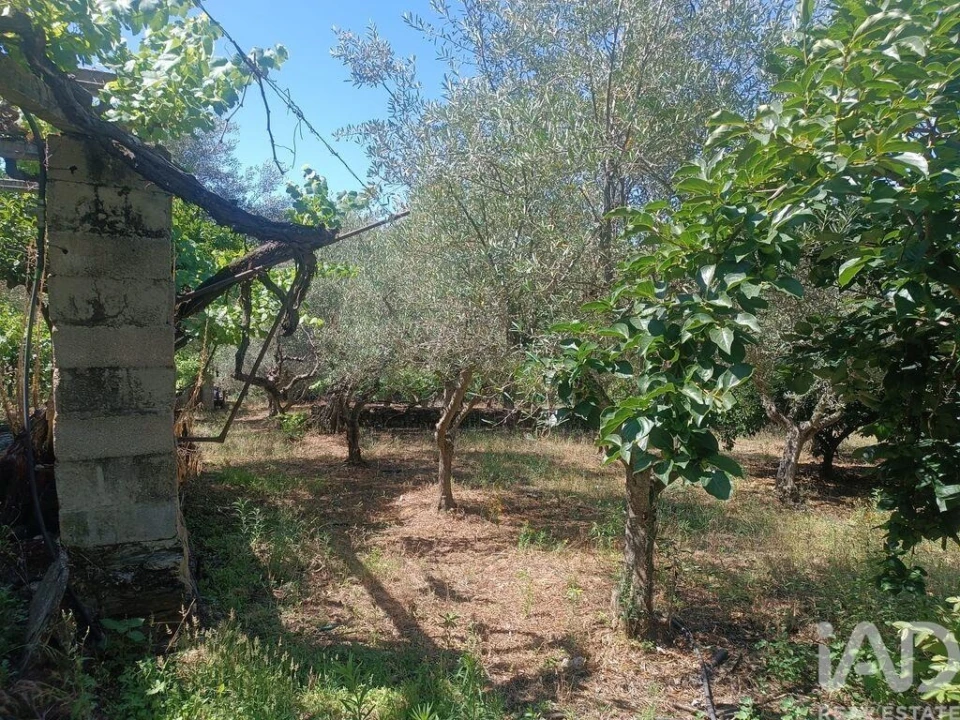 Terreno para Venda em Poiares Foto 19