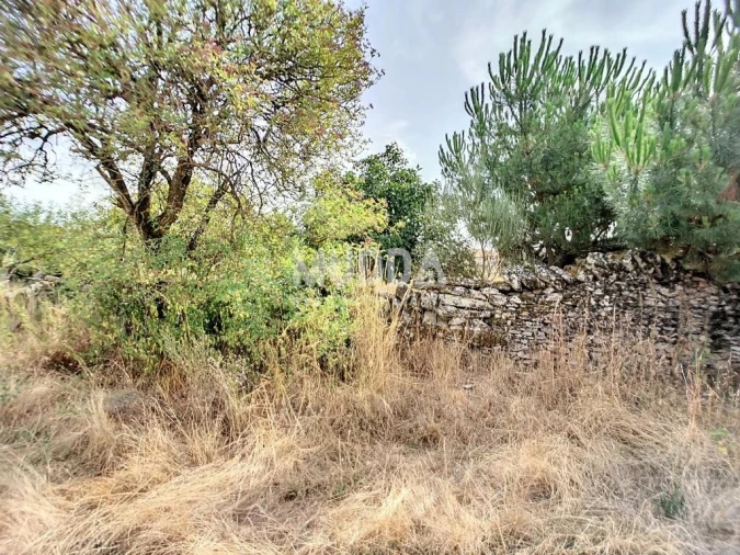 Garagem para Venda em Planalto de Monforte (Oucidres e Bobadela) Foto 2