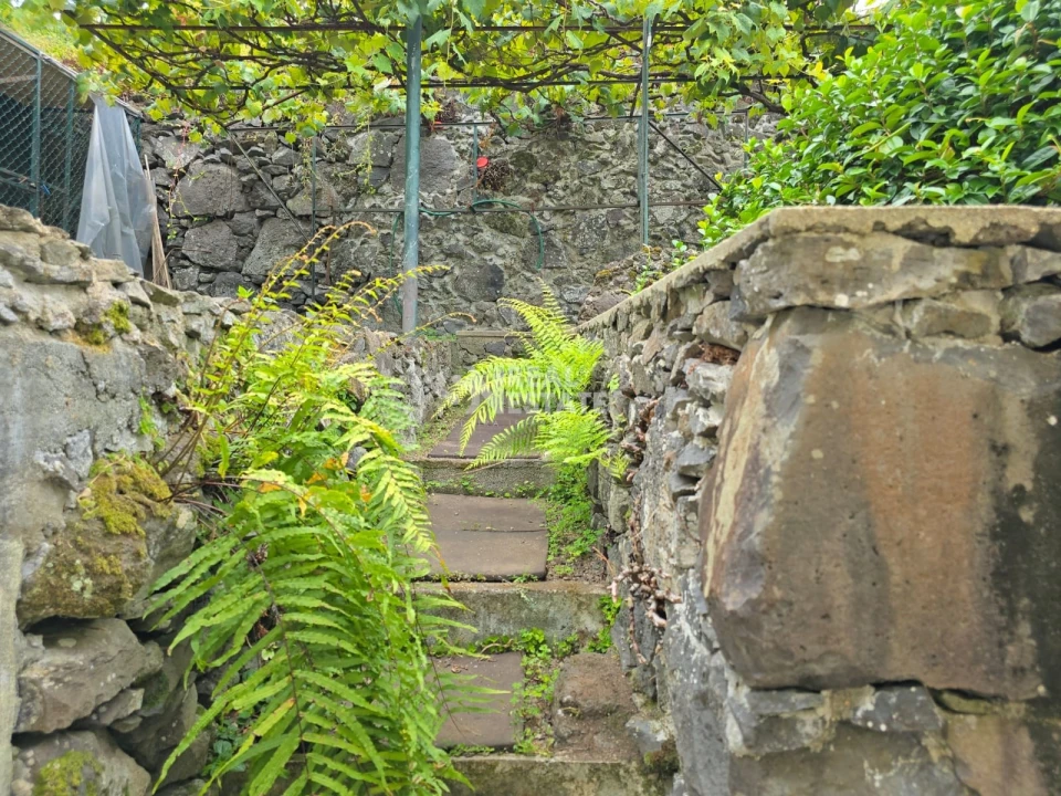 Moradia T2 para Venda em Arco de São Jorge Foto 19