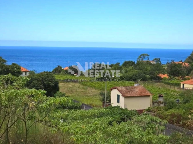 Moradia T2 para Venda em Arco de São Jorge Foto 13