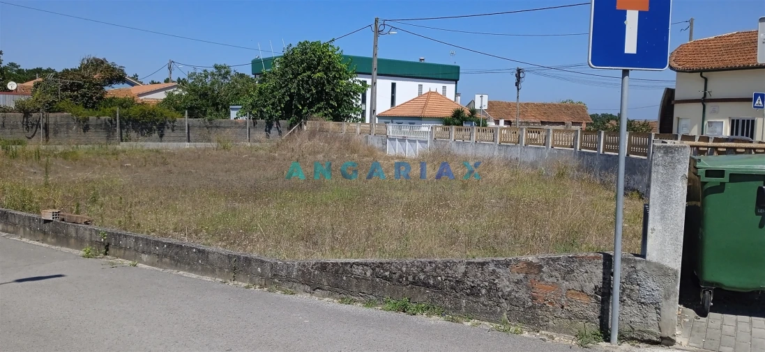 Terreno para Venda em Vieira de Leiria Foto 4