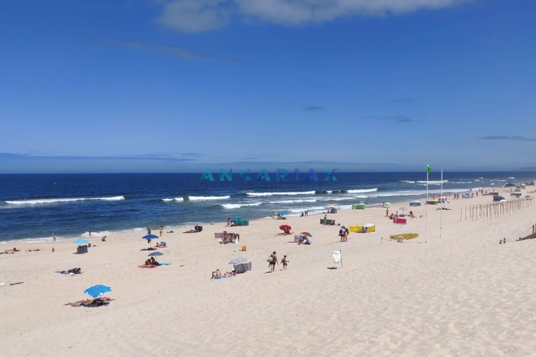 Terreno para Venda em Vieira de Leiria Foto 7