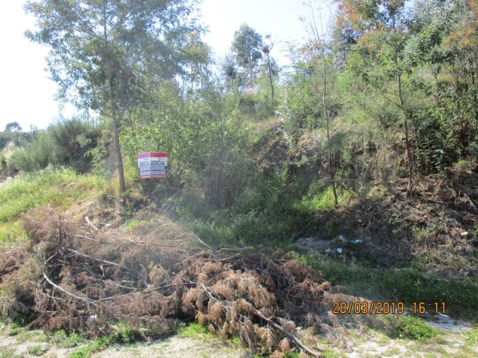 Terreno para Venda em Currelos, Papízios e Sobral Foto 5