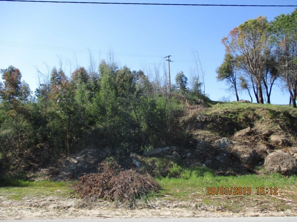 Terreno para Venda em Currelos, Papízios e Sobral Foto 6