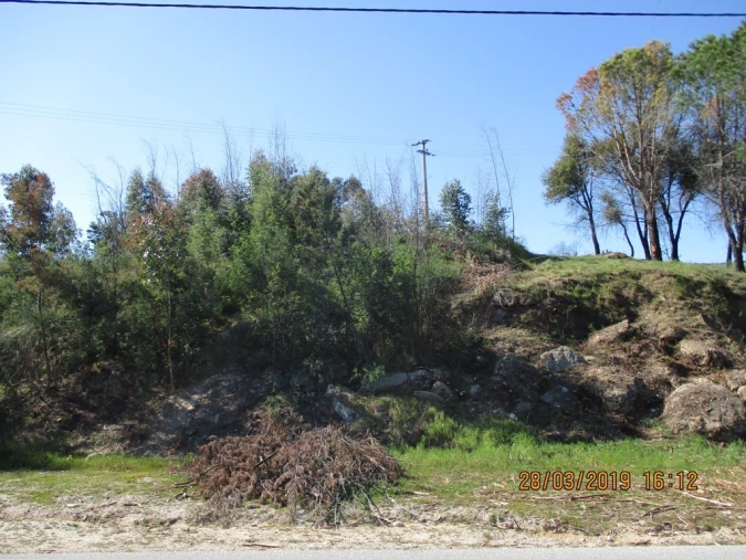 Terreno para Venda em Currelos, Papízios e Sobral Foto 6