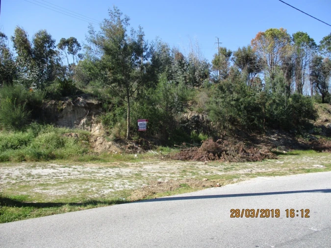 Terreno para Venda em Currelos, Papízios e Sobral Foto 7