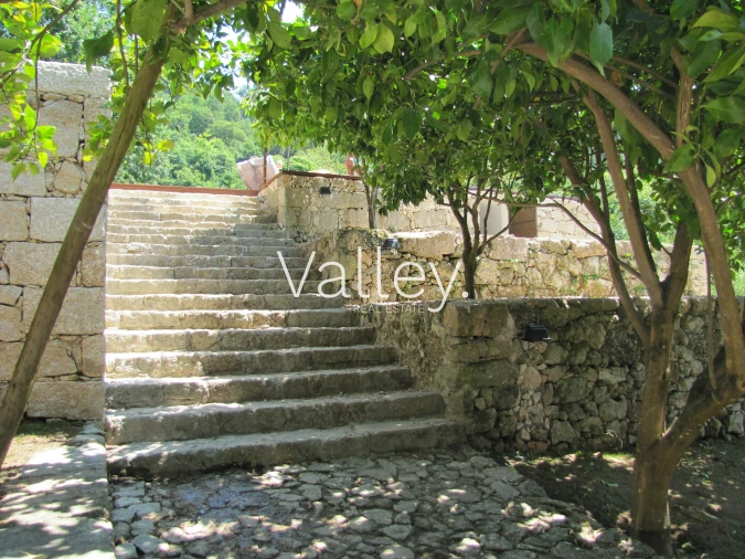 Moradia T3 para Venda em Ventosa e Cova Foto 2