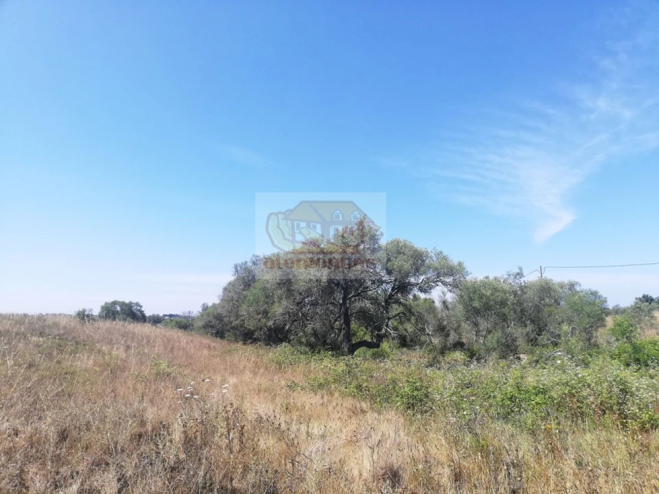 Terreno para Venda em São Francisco da Serra Foto 7