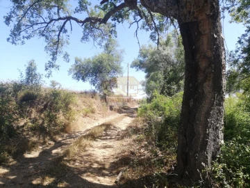 Terreno para Venda em São Francisco da Serra