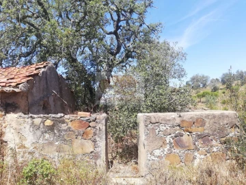Terreno para Venda em São Francisco da Serra
