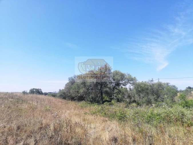Terreno para Venda em São Francisco da Serra Foto 7