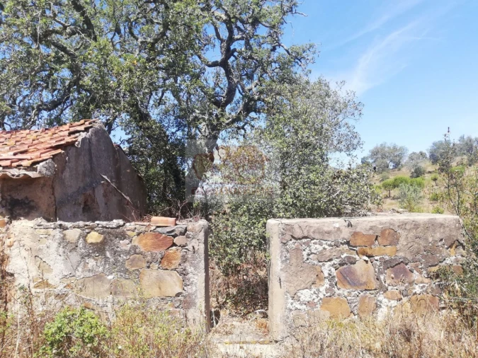 Terreno para Venda em São Francisco da Serra Foto 2