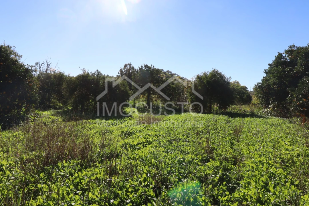 Terreno Agricola ou Rústico para Venda em Azinhal Foto 15