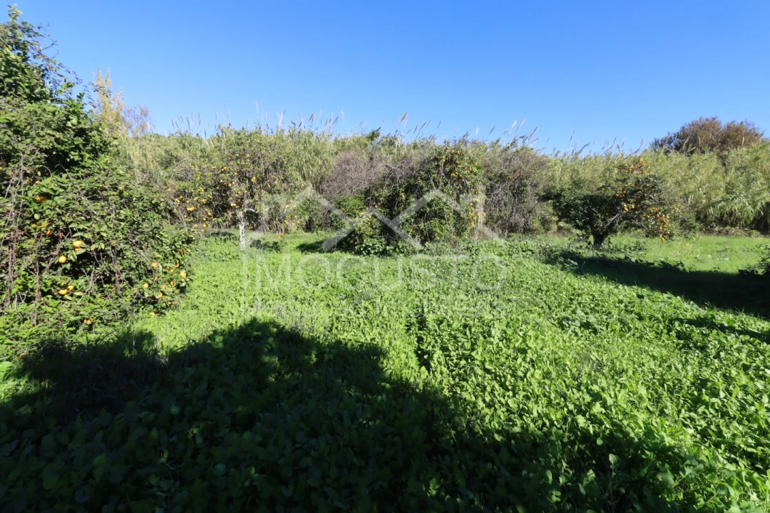 Terreno Agricola ou Rústico para Venda em Azinhal Foto 16