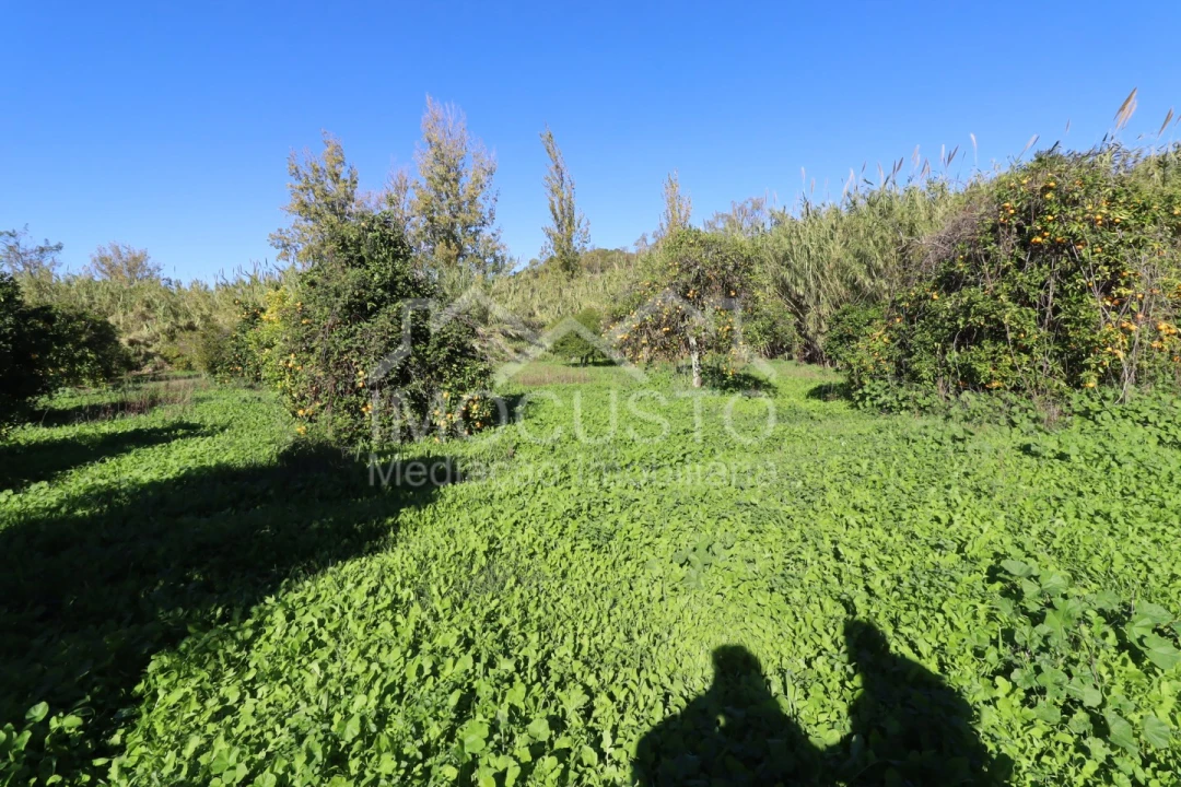 Terreno Agricola ou Rústico para Venda em Azinhal Foto 17