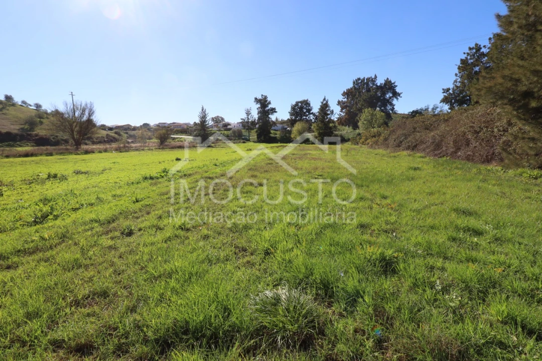 Terreno Agricola ou Rústico para Venda em Azinhal Foto 19