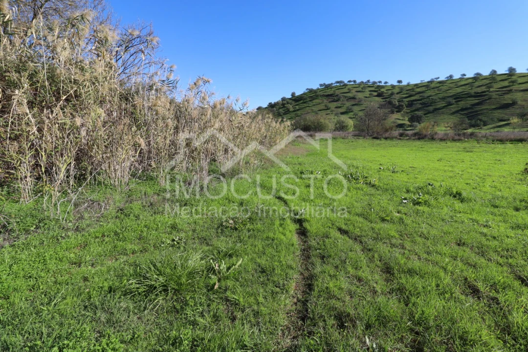 Terreno Agricola ou Rústico para Venda em Azinhal Foto 20