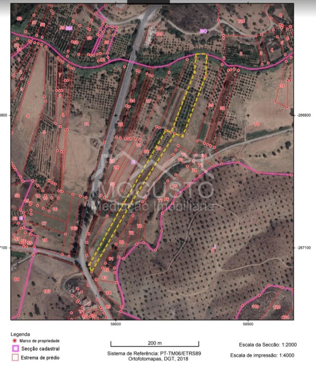 Terreno Agricola ou Rústico para Venda em Azinhal Foto 21