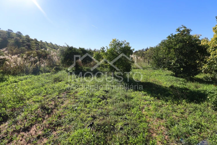 Terreno Agricola ou Rústico para Venda em Azinhal Foto 2