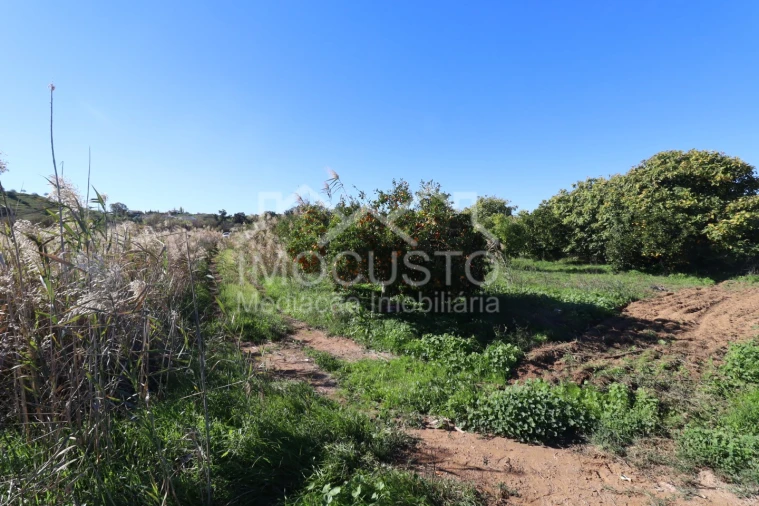 Terreno Agricola ou Rústico para Venda em Azinhal Foto 7