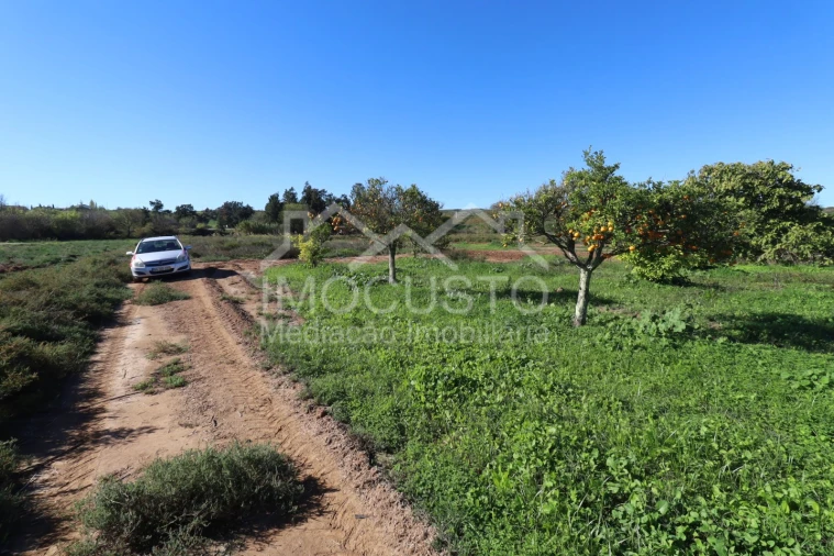 Terreno Agricola ou Rústico para Venda em Azinhal Foto 10