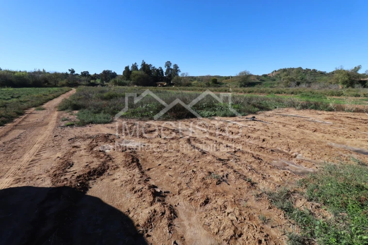 Terreno Agricola ou Rústico para Venda em Azinhal Foto 11