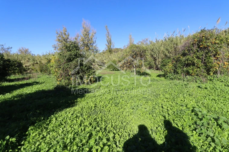 Terreno Agricola ou Rústico para Venda em Azinhal Foto 17