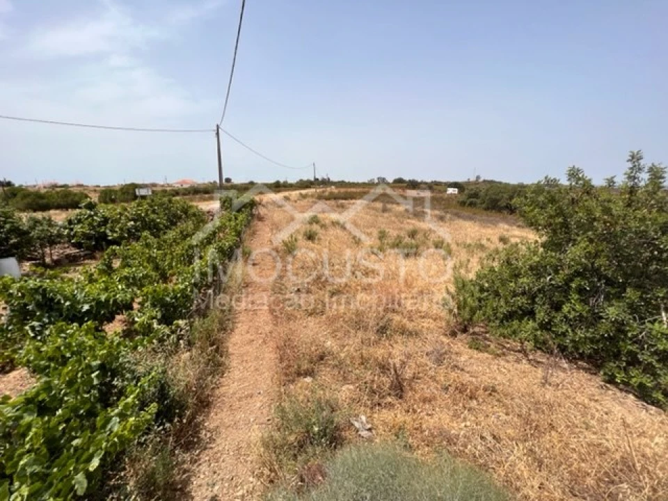 Terreno para Venda em Odeleite Foto 1