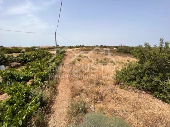 Terreno para Venda em Odeleite Foto 1