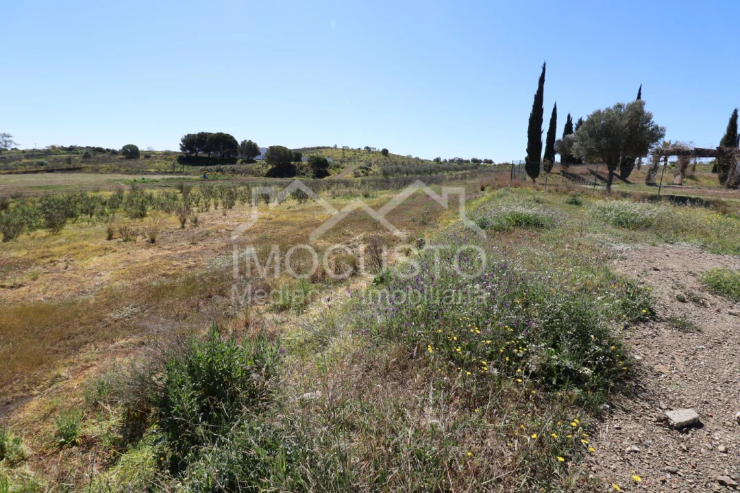 Terreno Agricola ou Rústico para Venda em Azinhal Foto 1