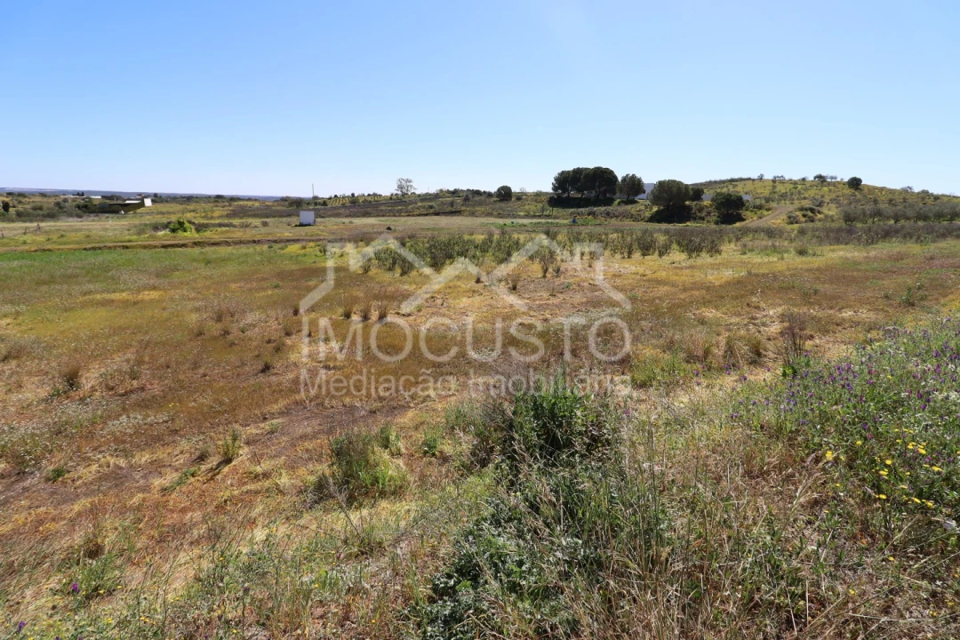 Terreno Agricola ou Rústico para Venda em Azinhal Foto 2
