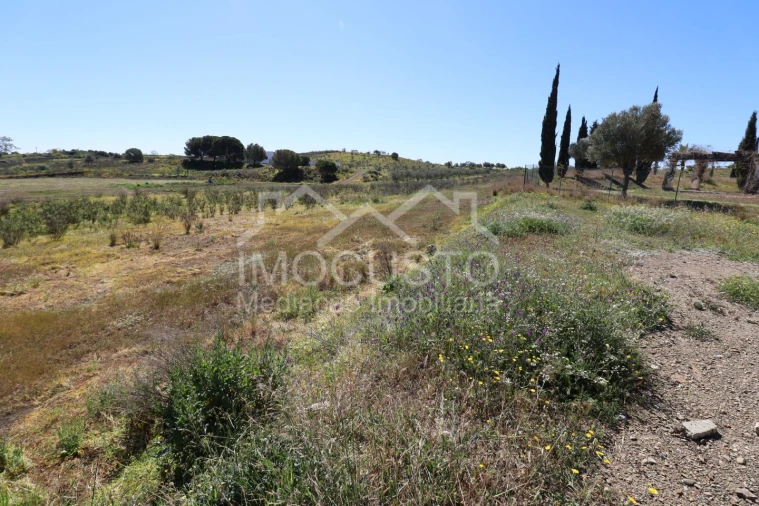 Terreno Agricola ou Rústico para Venda em Azinhal Foto 1