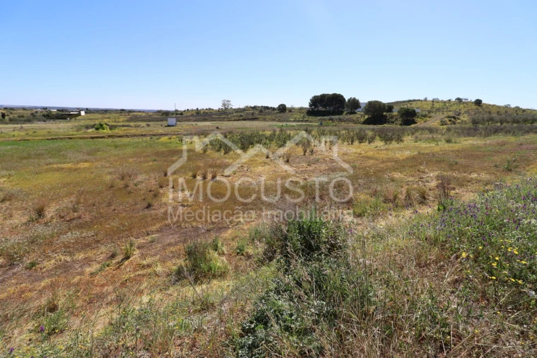 Terreno Agricola ou Rústico para Venda em Azinhal Foto 2