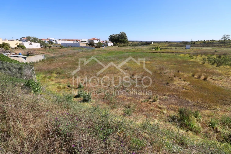 Terreno Agricola ou Rústico para Venda em Azinhal Foto 3