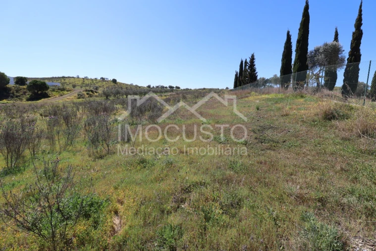 Terreno Agricola ou Rústico para Venda em Azinhal Foto 4