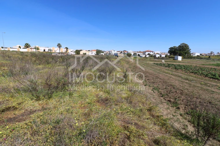 Terreno Agricola ou Rústico para Venda em Azinhal Foto 10