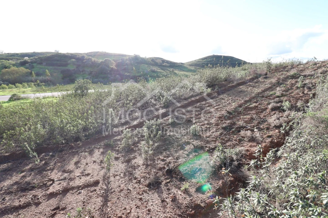 Terreno Agricola ou Rústico para Venda em Castro Marim Foto 2