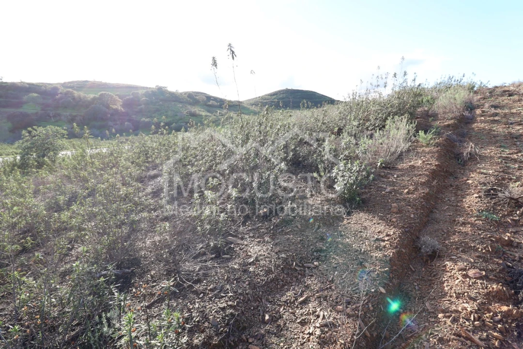 Terreno Agricola ou Rústico para Venda em Castro Marim Foto 3