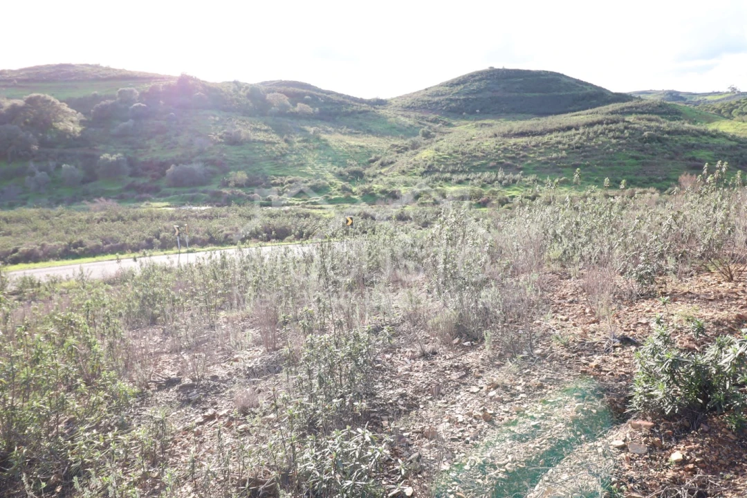 Terreno Agricola ou Rústico para Venda em Castro Marim Foto 5