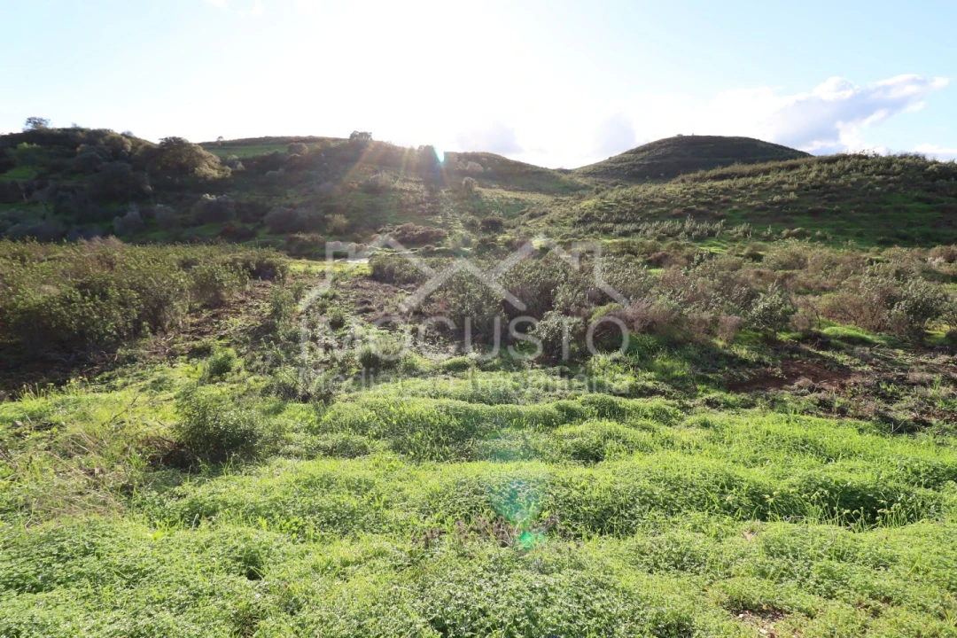 Terreno Agricola ou Rústico para Venda em Castro Marim Foto 6