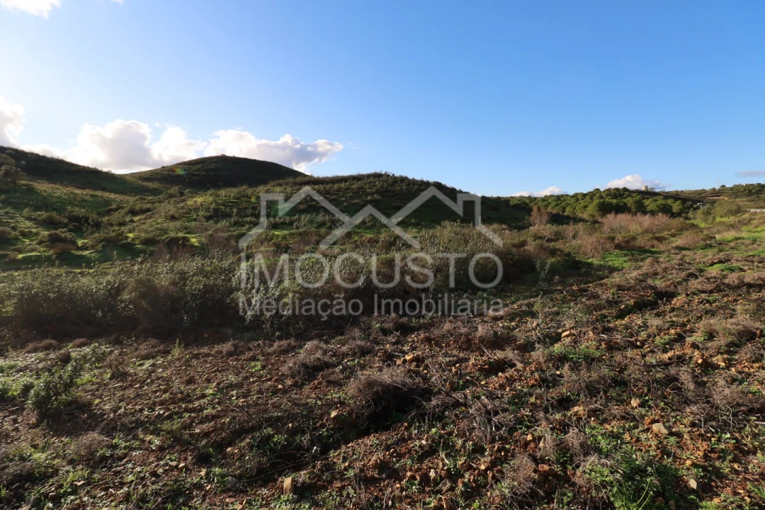 Terreno Agricola ou Rústico para Venda em Castro Marim Foto 10